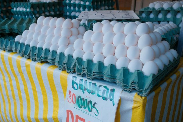 Découvrez le charme exotique du verre tiki